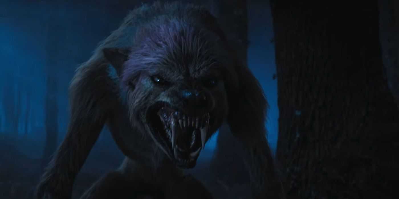 Enid verwandelte sich am Mittwoch in einen Werwolf