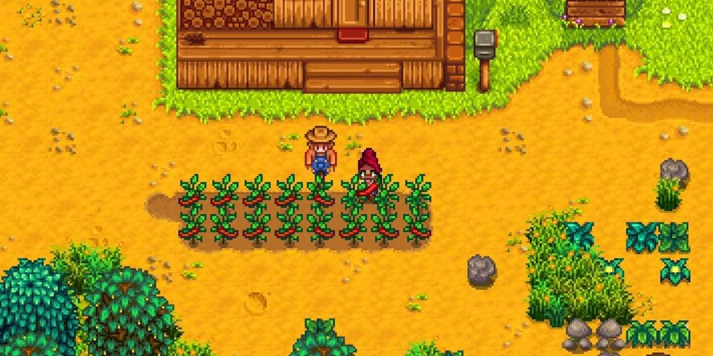 Un granjero cosechando pimientos picantes en Stardew Valley