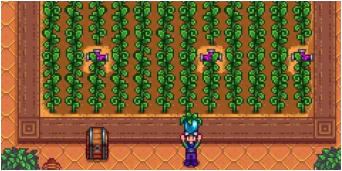 Jugador sosteniendo fruta antigua en Stardew Valley