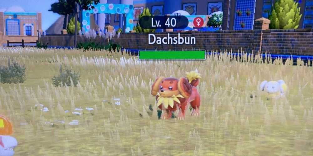 Pokemon Scarlet & Violet