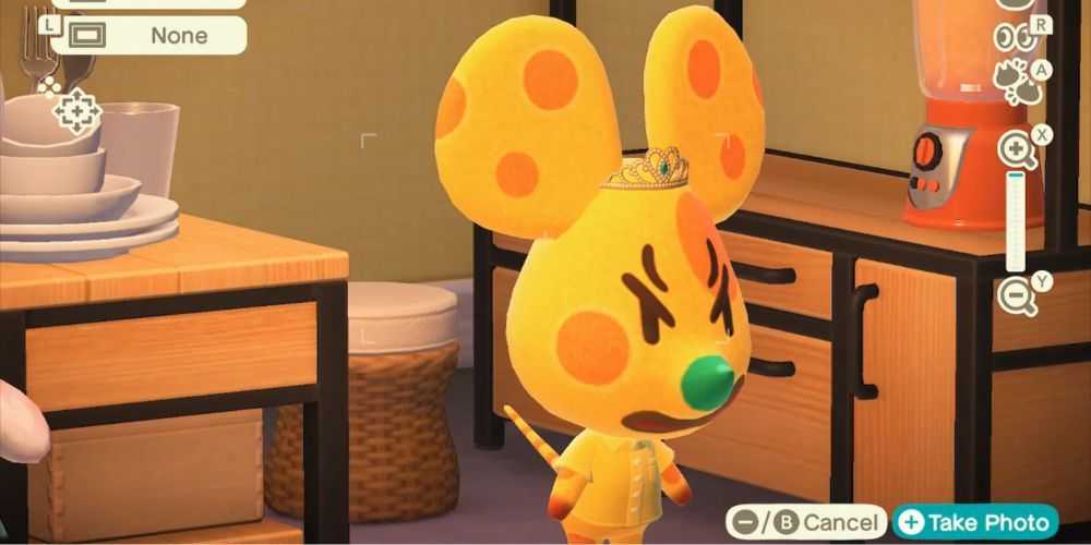 Animal Crossing_ New Horizons で怒っているチャダー