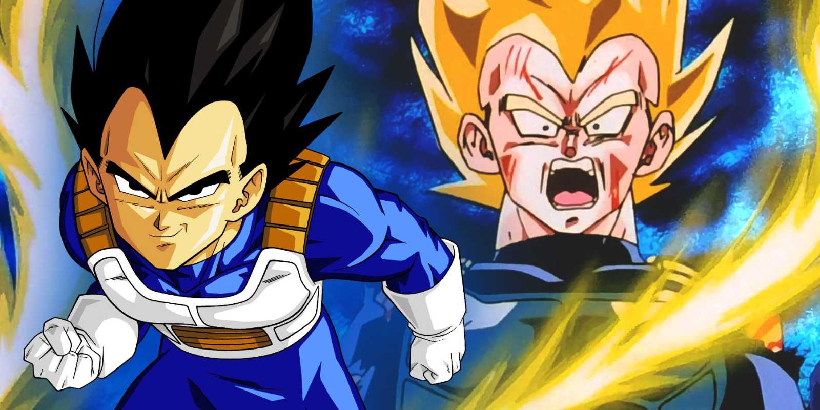 Вегета аа в аниме Dragon Ball Z в стандартной форме и форме Супер Сайяна.