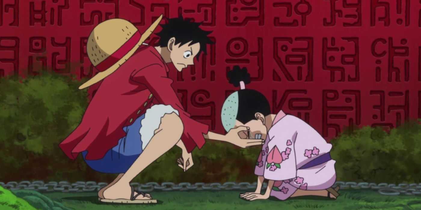 Maymun D. Luffy, One Piece sırasında Kozuki Momonosuke
