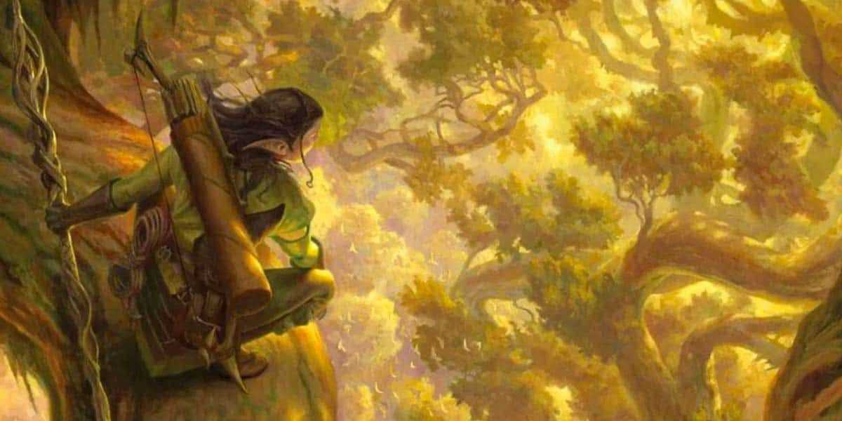 Un Ranger mirando desde los árboles en DnD.