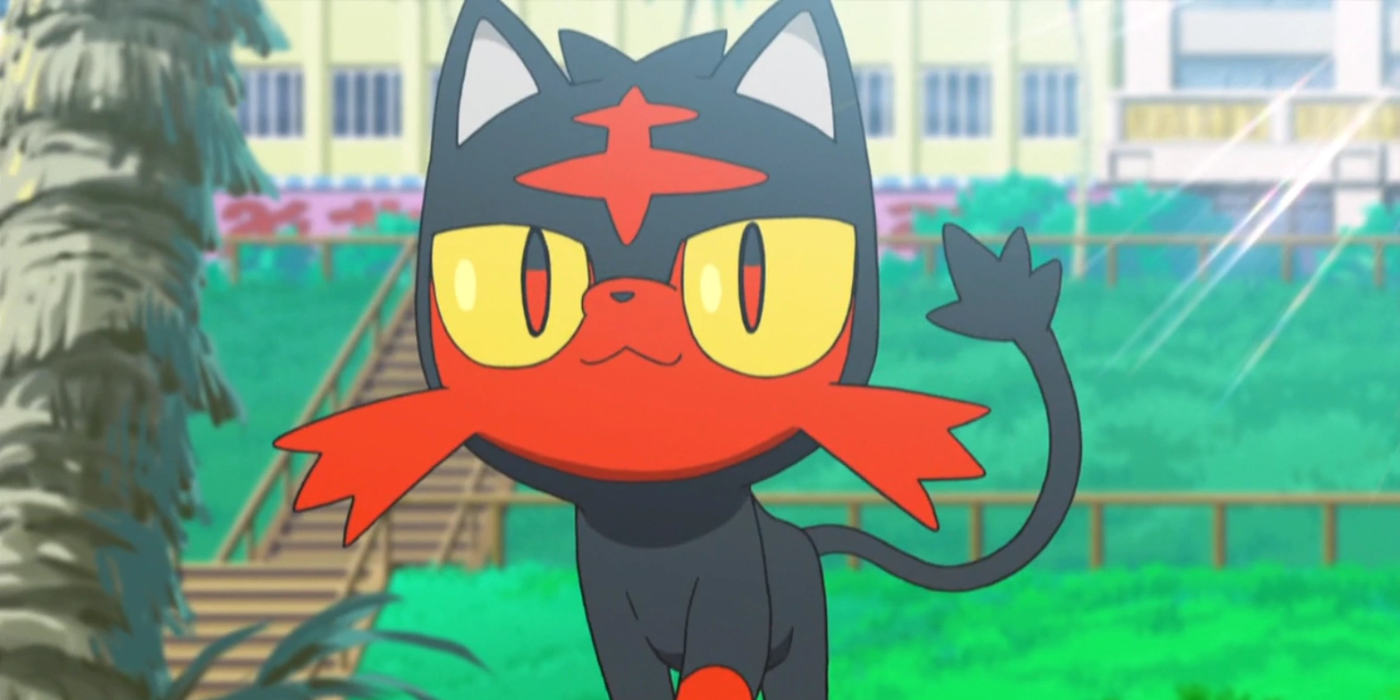 Litten de Pokémon.