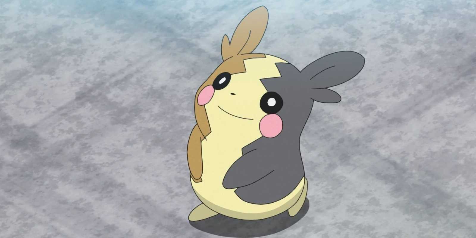 アニメ『ポケットモンスター』で微笑むモルペコ。
