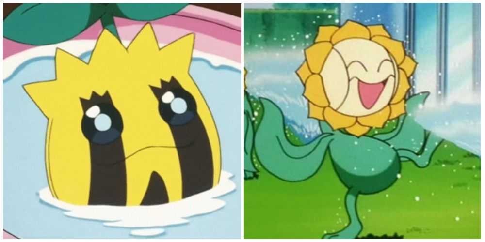 Pokemon animesinden Sunkern ve Sunflora