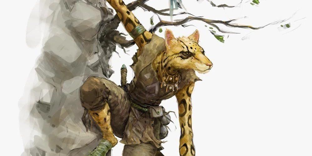 D&D 5e ソースブック Volo にある tabaxi のイラスト