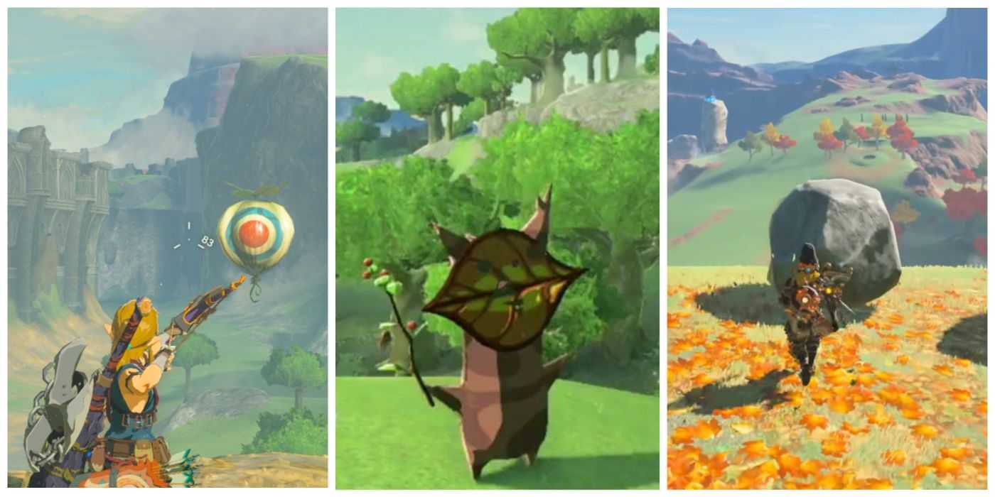 Harte Korok-Samen in The Legend of Zelda: Breath of the Wild