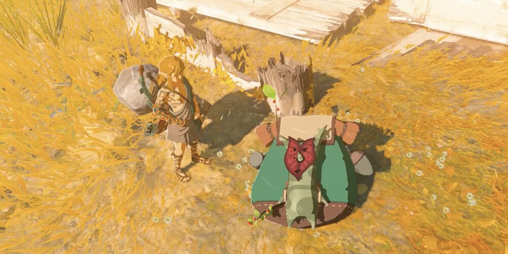 The Legend of Zelda: Tears of the Kingdom – Ein Korok, der auf ihrem Rucksack liegt