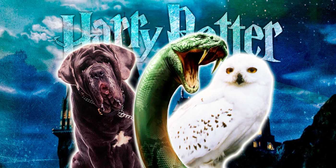 Koláž Tesáka, Nagini a Hedvigy z Harryho Pottera
