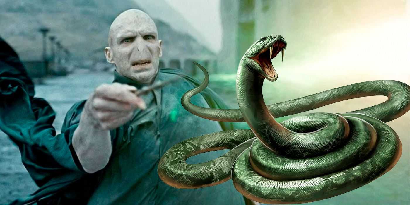Harry Potter