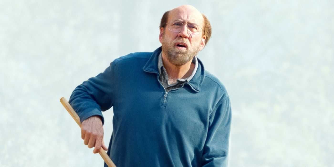 Geteiltes Bild Nicolas Cage in Vampire