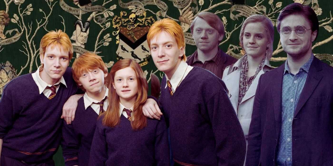 Collage der Weasleys, Harry, Ron und Hermine und des Black-Stammbaums in Harry Potter