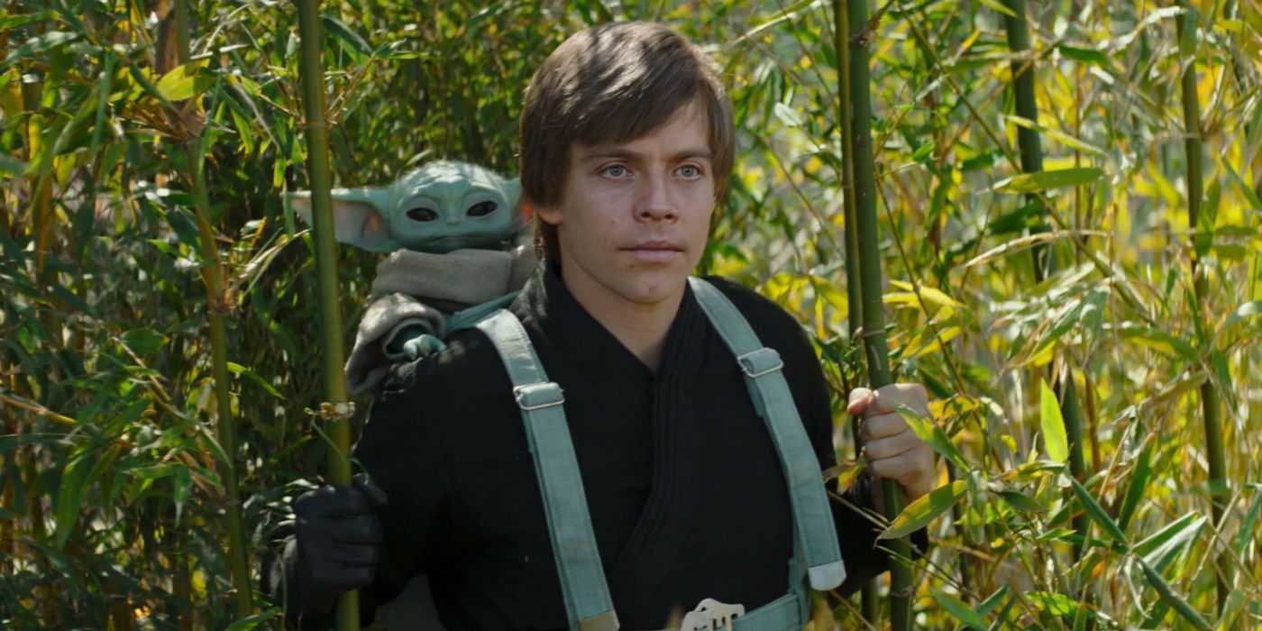 Luke Skywalker trägt Grogu im Buch von Boba Fett