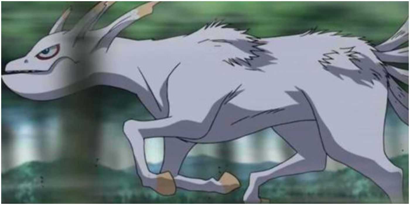 Beş Kuyruklu Naruto