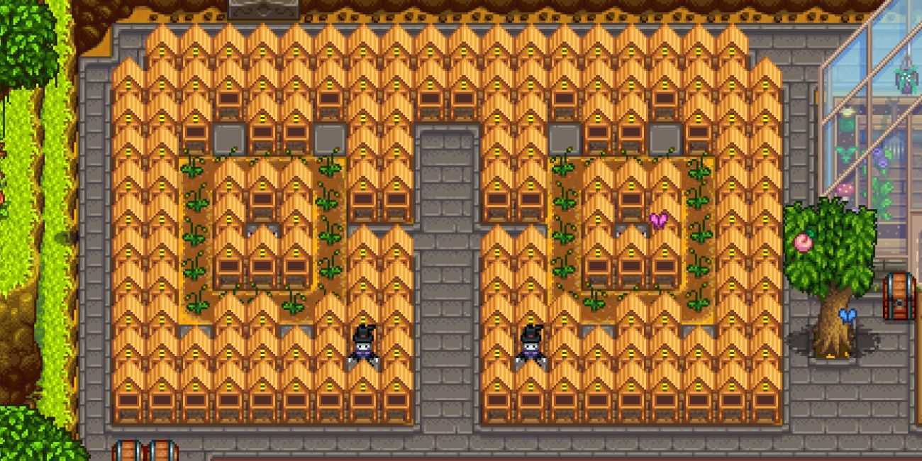 Eine riesige Imkerei im Stardew Valley