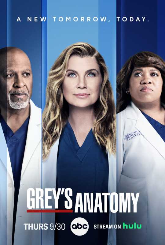Grays Anatomy TV Show Plagát-1