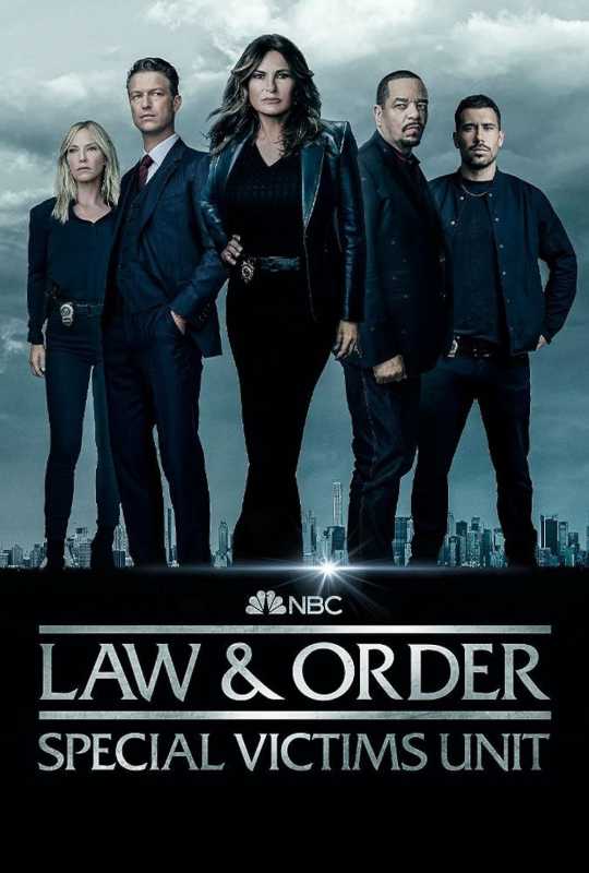 LAW & ORDER: 特別被害者ユニットのポスター