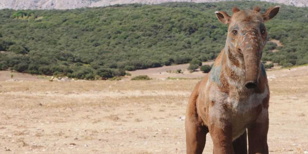 mulefa onun karanlık malzemeleri