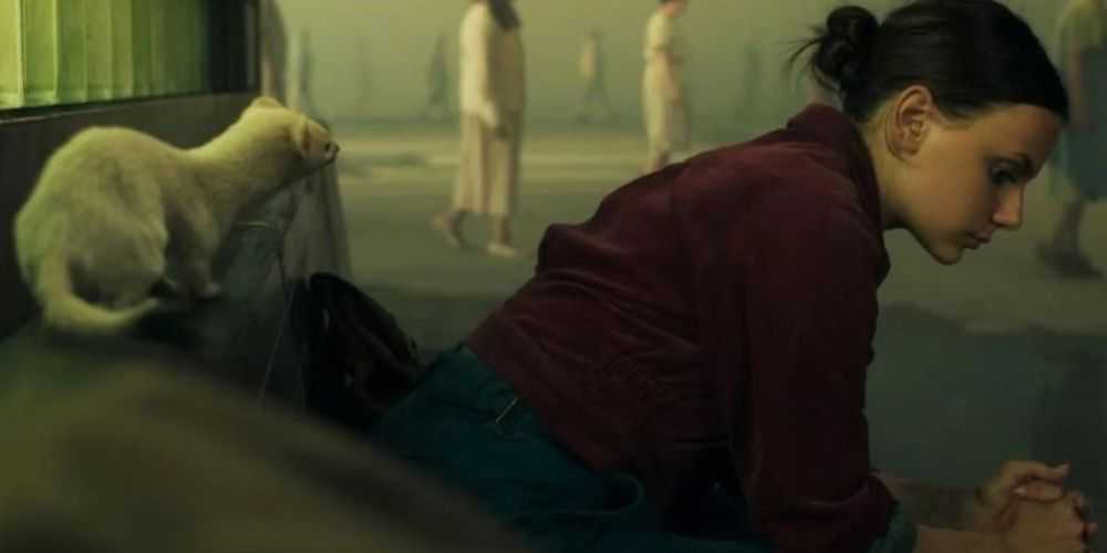 dafne, His Dark Materials