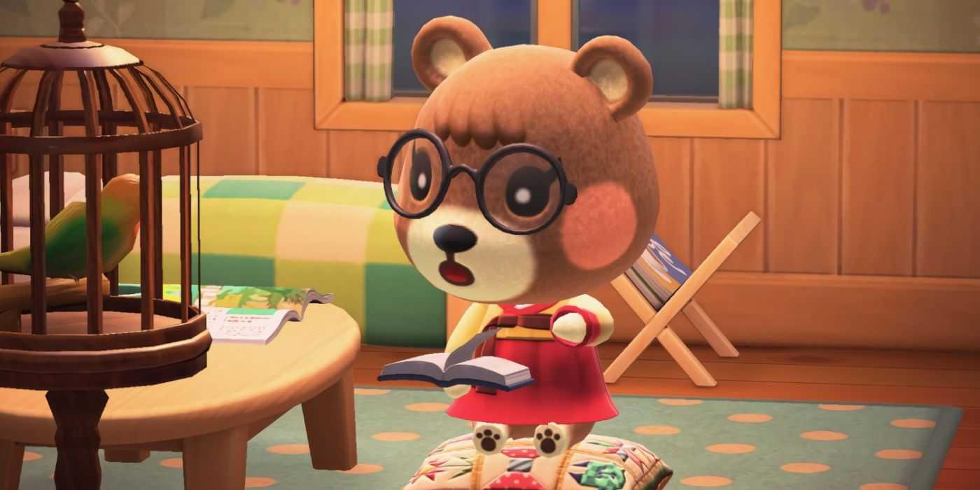 Maple sieht beim Lesen von „Animal Crossing New Horizons“ überrascht aus