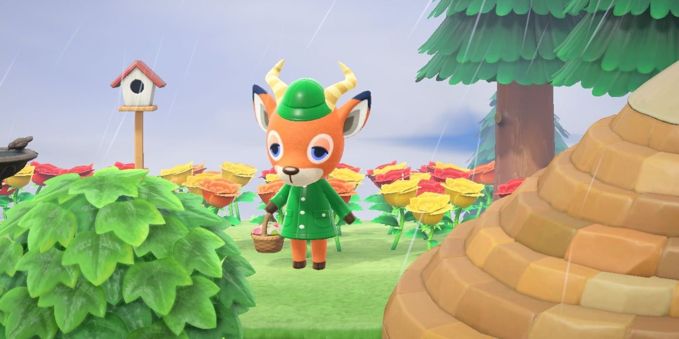 Beau gießt Blumen aus Animal Crossing New Horizons