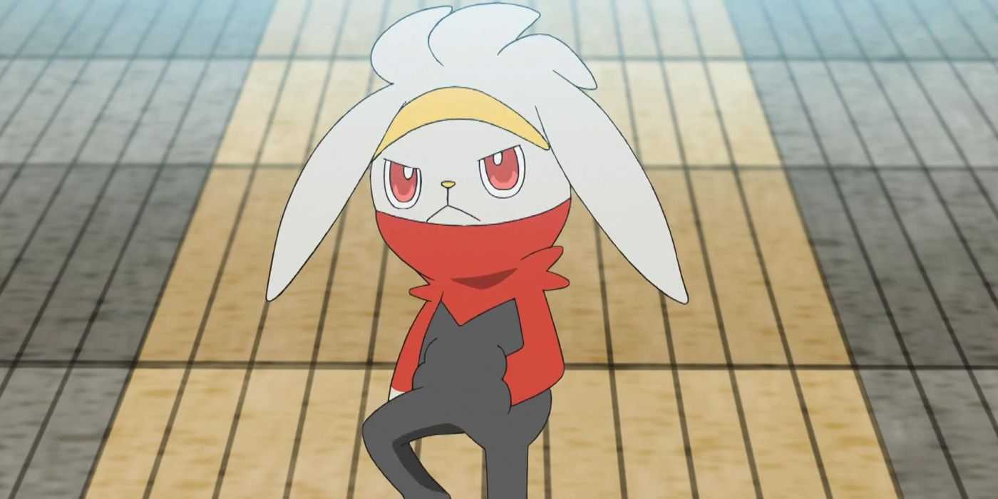 Raboot v Pokémonoch
