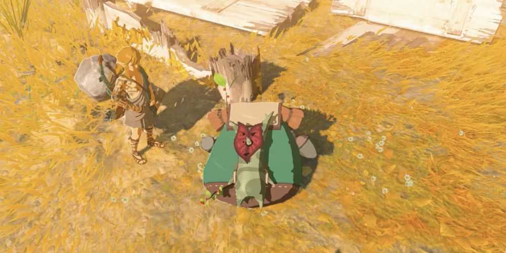 Link und ein reisender Korok in The Legend of Zelda: Tears of the Kingdom