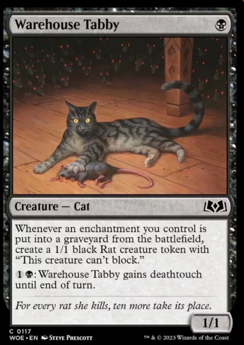 Warehouse Tabby