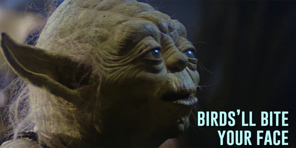 Yoda hasst wirklich Möwen in ansteckender schlechter Lippenlese Ditty